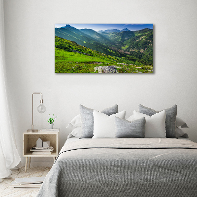 Canvas wall art Dawn in the mountains