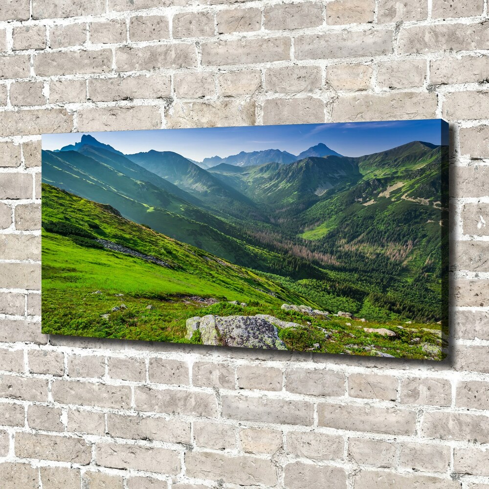 Canvas wall art Dawn in the mountains