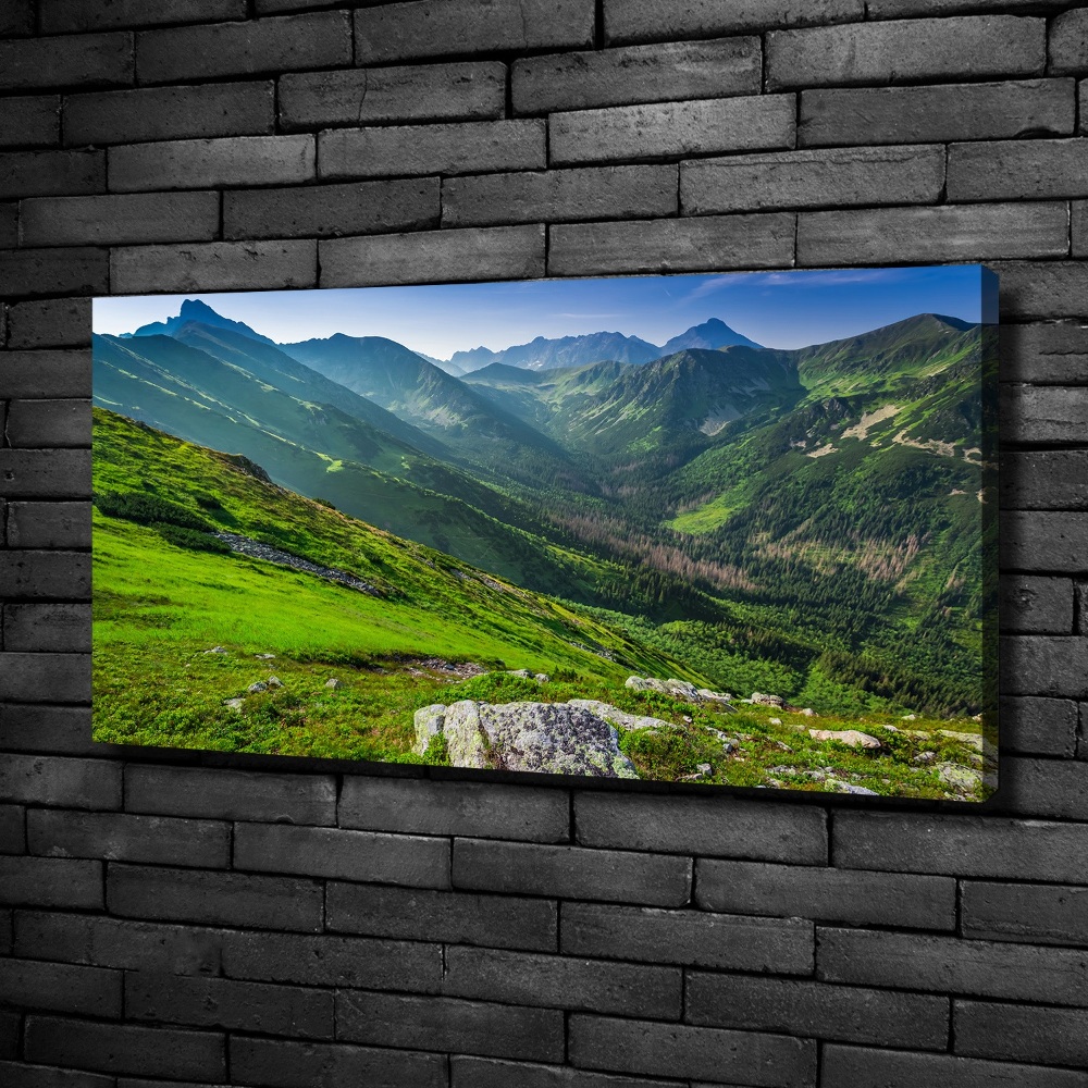 Canvas wall art Dawn in the mountains