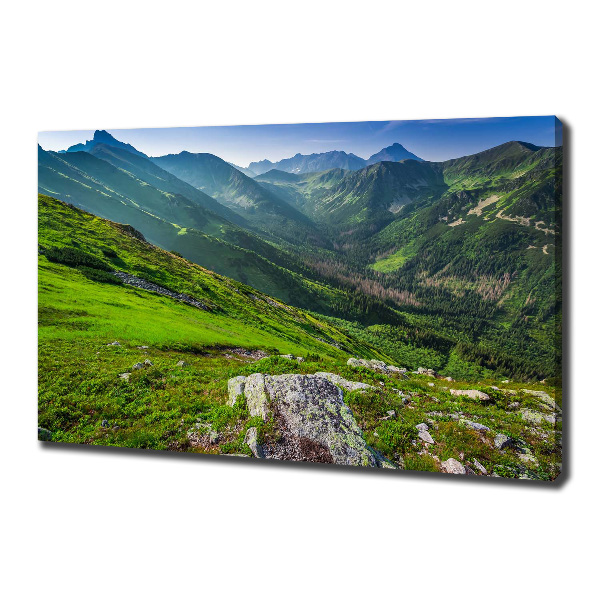 Canvas wall art Dawn in the mountains