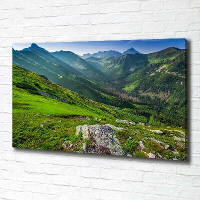 Canvas wall art Dawn in the mountains