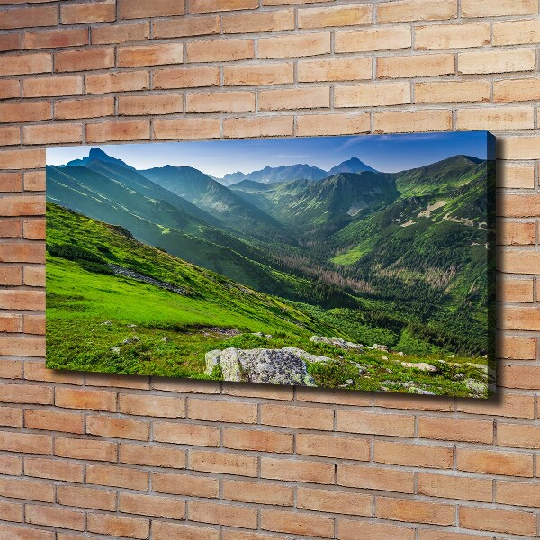 Canvas wall art Dawn in the mountains