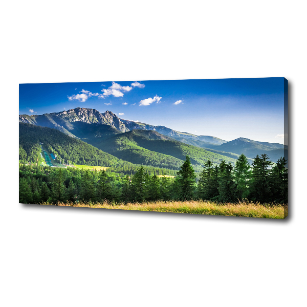 Canvas wall art Hill in the Tatra Mountains