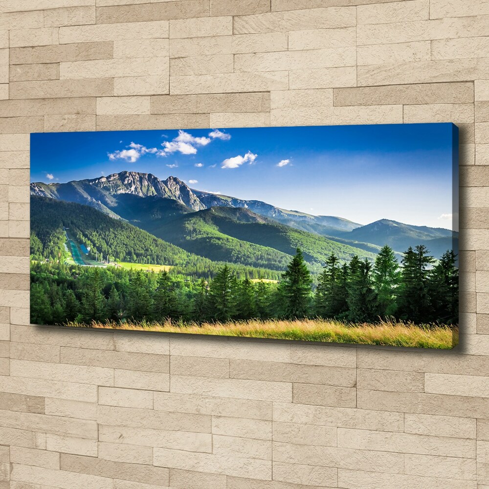 Canvas wall art Hill in the Tatra Mountains