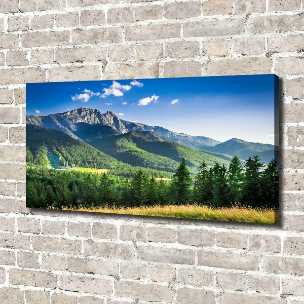 Canvas wall art Hill in the Tatra Mountains