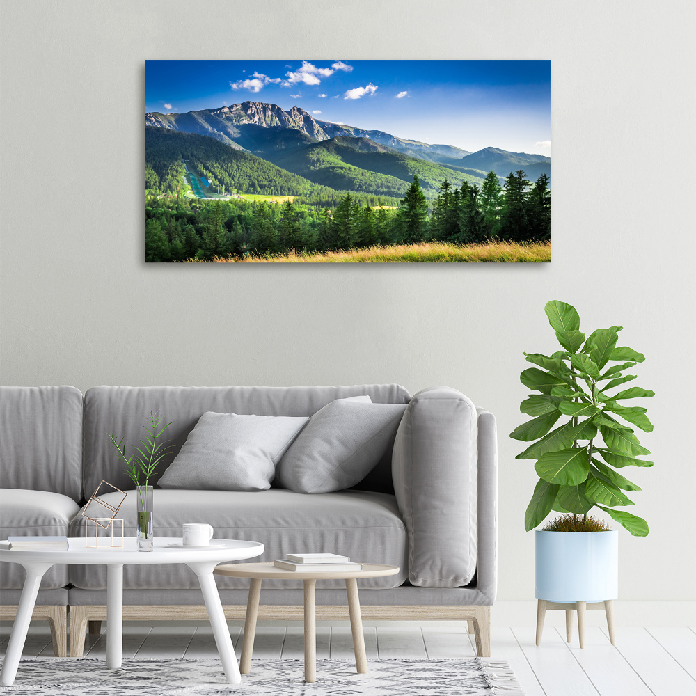 Canvas wall art Hill in the Tatra Mountains