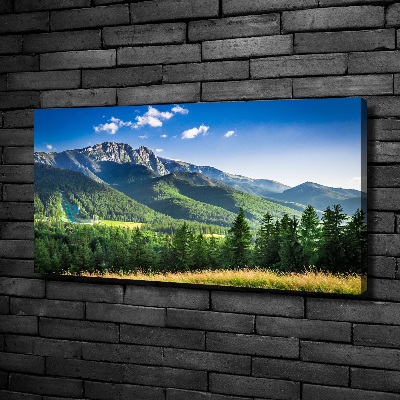 Canvas wall art Hill in the Tatra Mountains