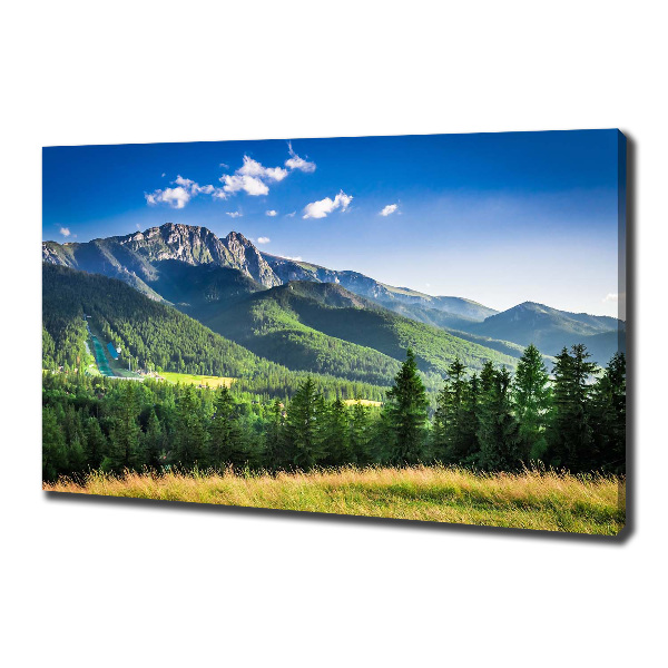 Canvas wall art Hill in the Tatra Mountains