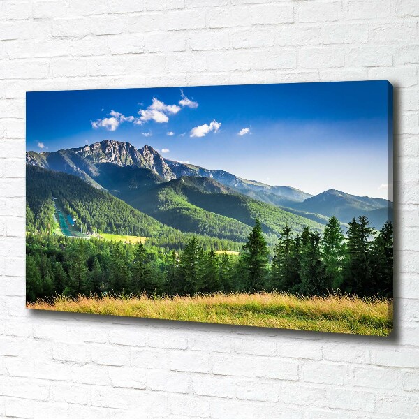 Canvas wall art Hill in the Tatra Mountains