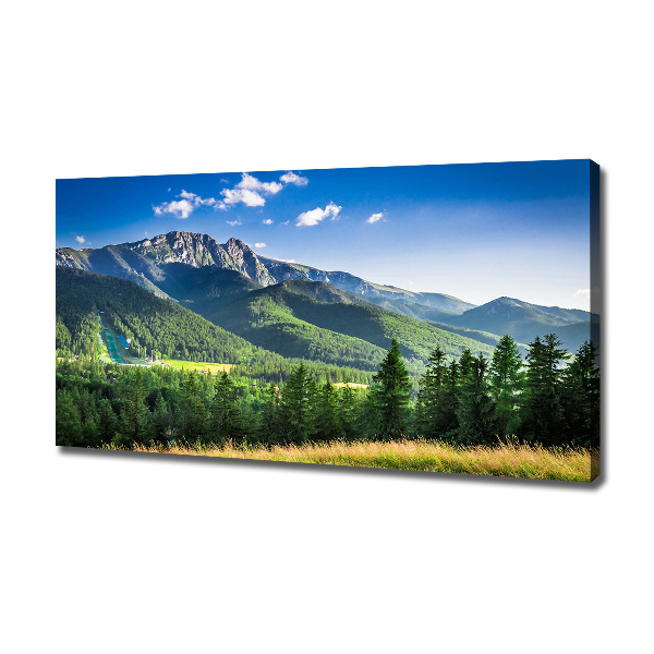 Canvas wall art Hill in the Tatra Mountains