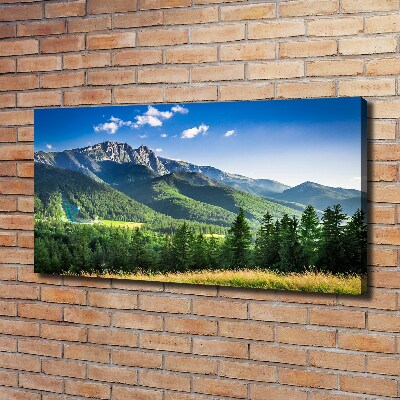 Canvas wall art Hill in the Tatra Mountains