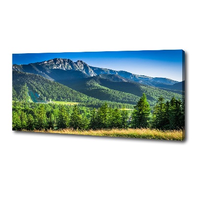 Canvas wall art Hill in the Tatra Mountains