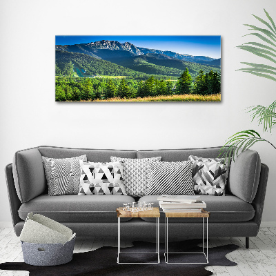 Canvas wall art Hill in the Tatra Mountains