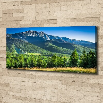 Canvas wall art Hill in the Tatra Mountains