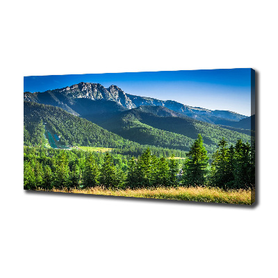 Canvas wall art Hill in the Tatra Mountains