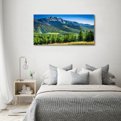 Canvas wall art Hill in the Tatra Mountains