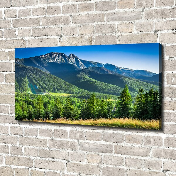 Canvas wall art Hill in the Tatra Mountains