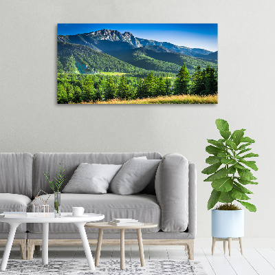 Canvas wall art Hill in the Tatra Mountains