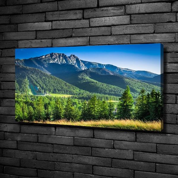 Canvas wall art Hill in the Tatra Mountains