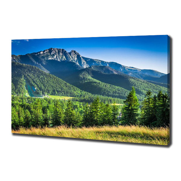 Canvas wall art Hill in the Tatra Mountains