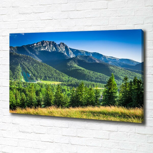 Canvas wall art Hill in the Tatra Mountains