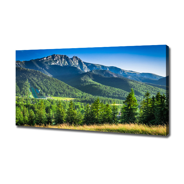 Canvas wall art Hill in the Tatra Mountains