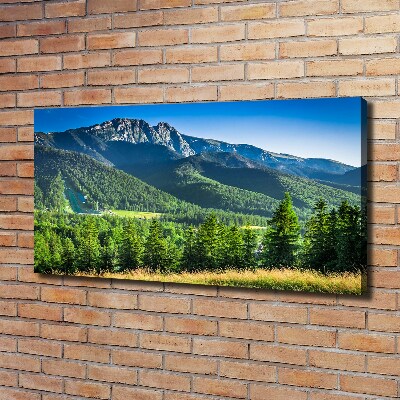 Canvas wall art Hill in the Tatra Mountains