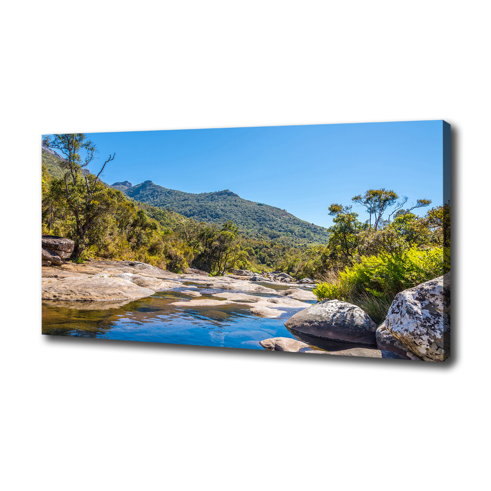 Canvas wall art River in the forest