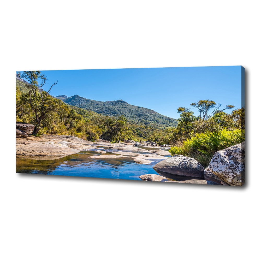 Canvas wall art River in the forest