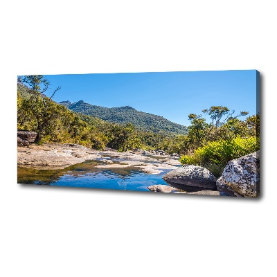 Canvas wall art River in the forest