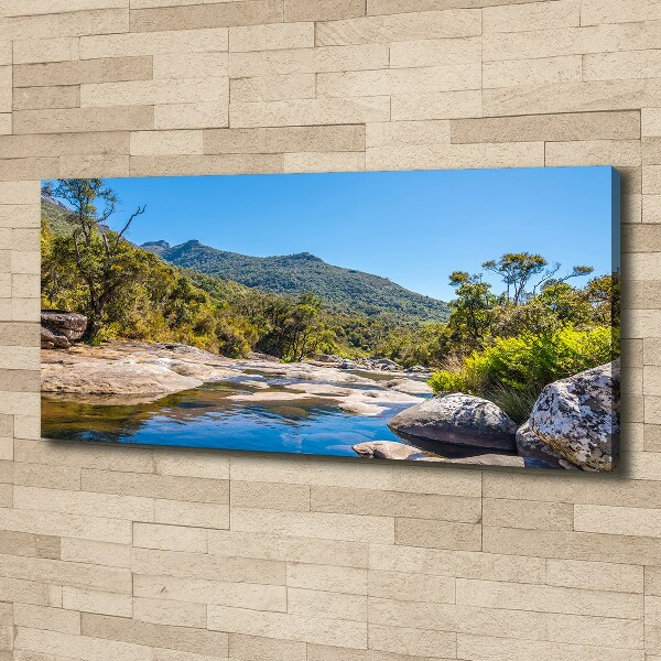 Canvas wall art River in the forest