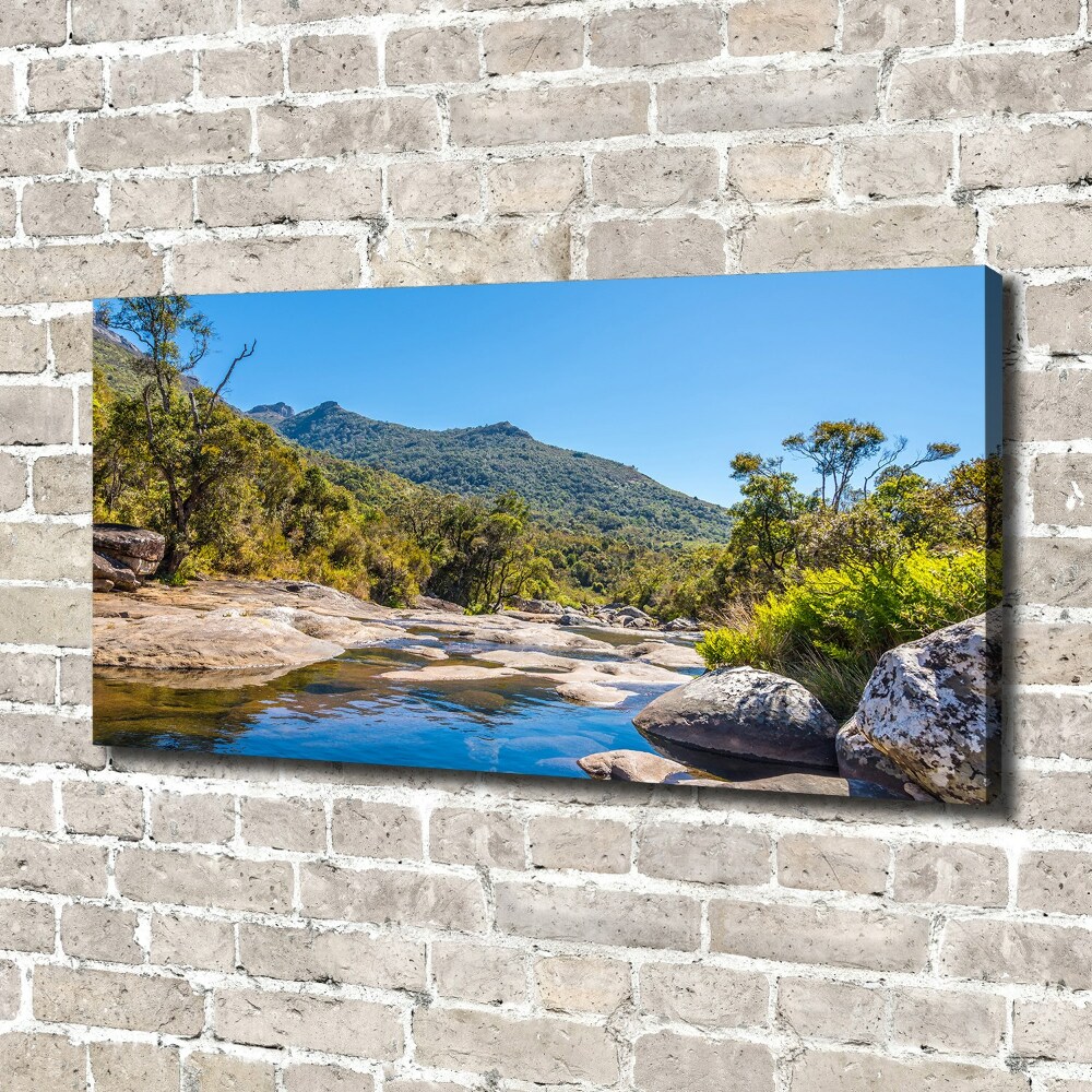 Canvas wall art River in the forest