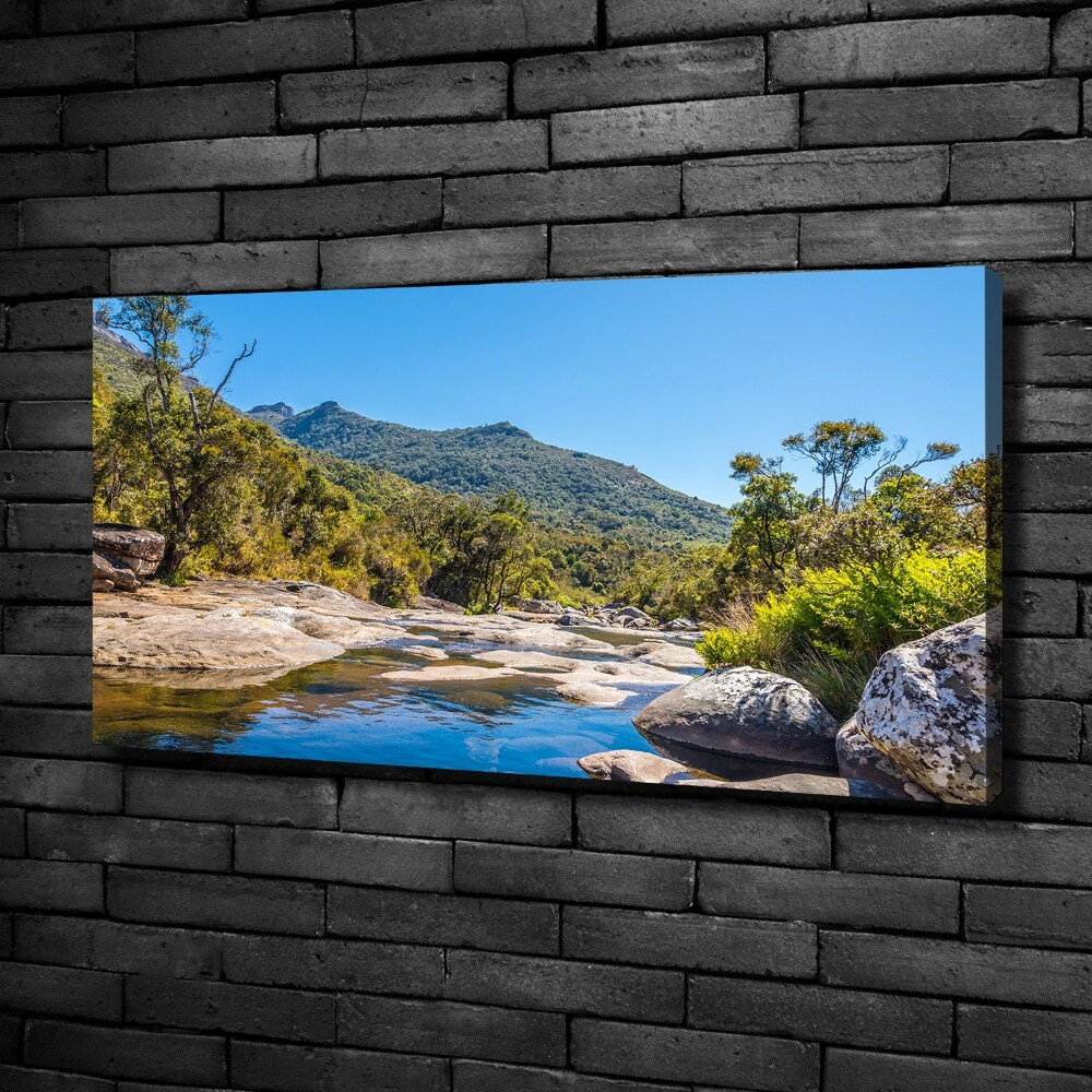 Canvas wall art River in the forest