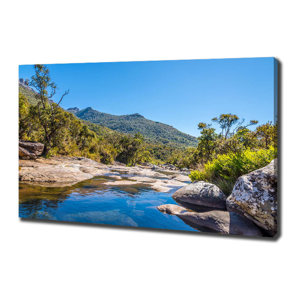 Canvas wall art River in the forest