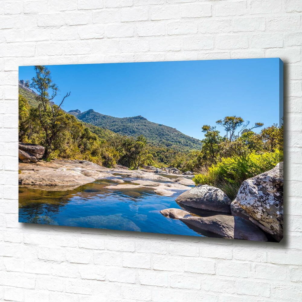 Canvas wall art River in the forest