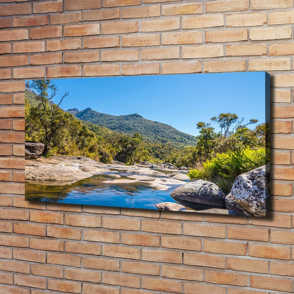 Canvas wall art River in the forest