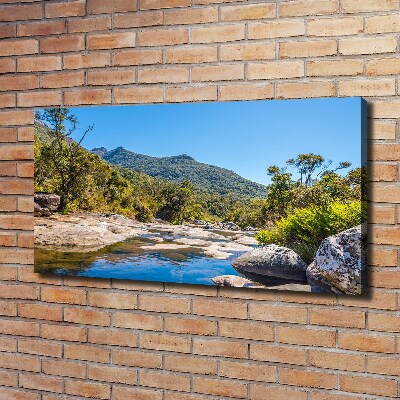 Canvas wall art River in the forest