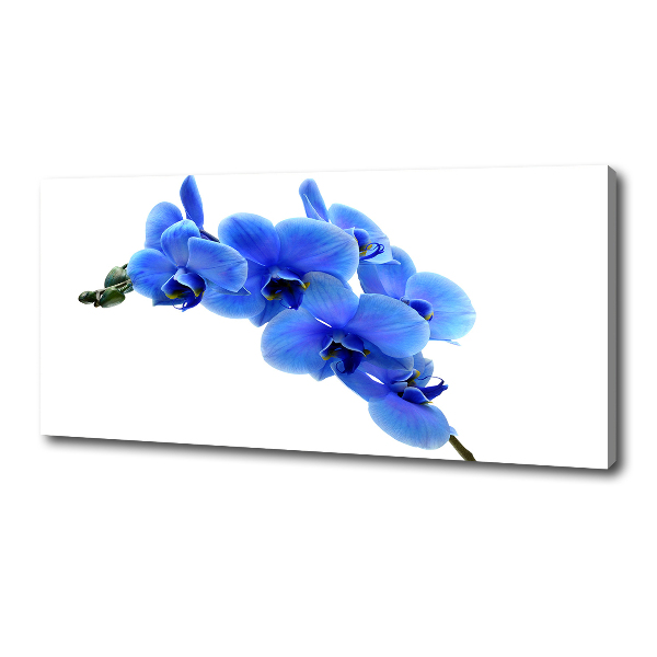 Canvas wall art Blue orchid