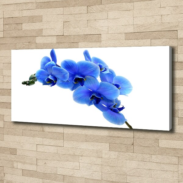 Canvas wall art Blue orchid