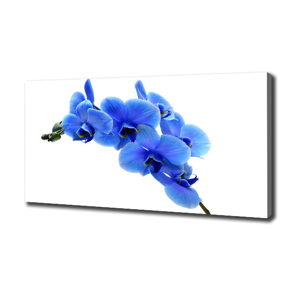 Canvas wall art Blue orchid