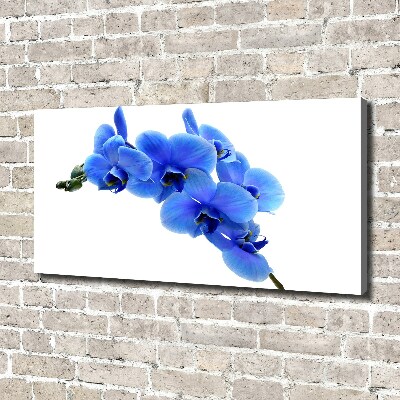 Canvas wall art Blue orchid