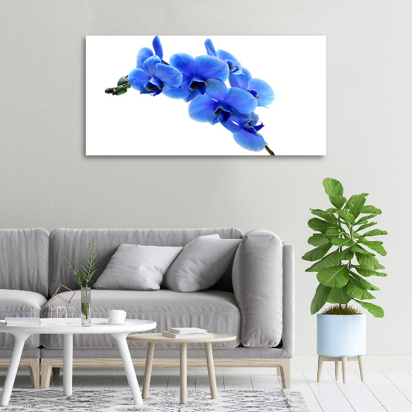 Canvas wall art Blue orchid