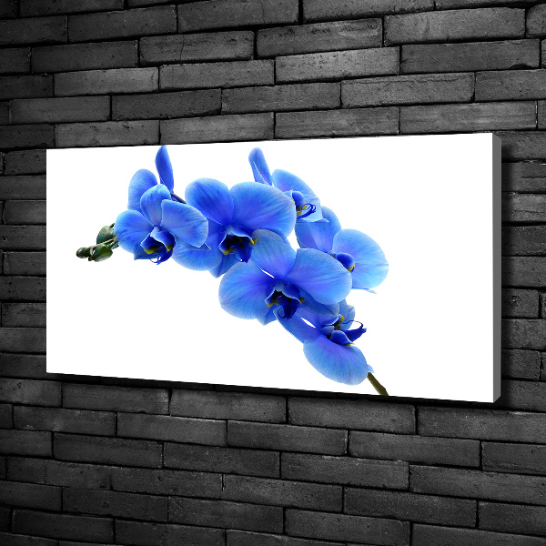 Canvas wall art Blue orchid