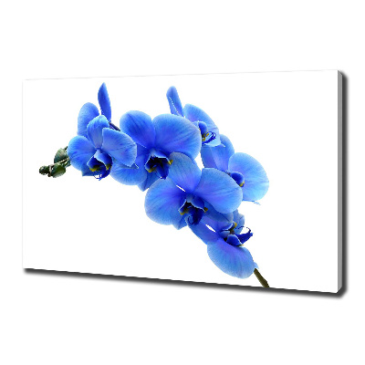 Canvas wall art Blue orchid