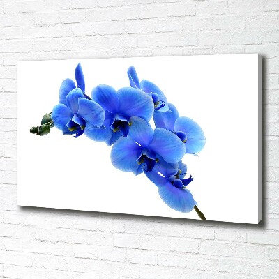 Canvas wall art Blue orchid