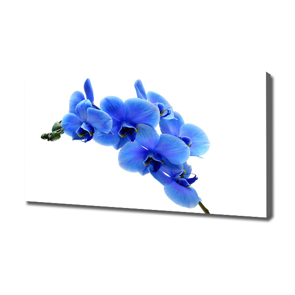 Canvas wall art Blue orchid