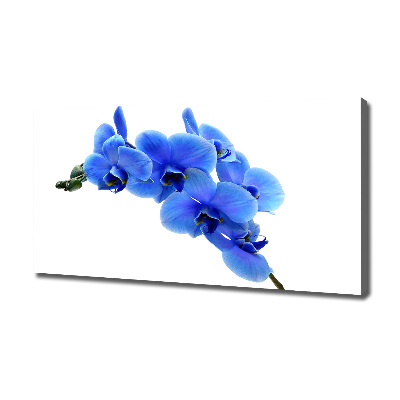 Canvas wall art Blue orchid