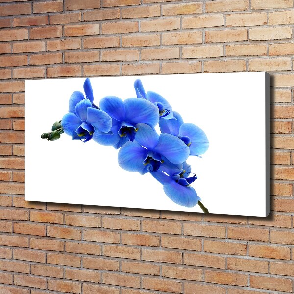 Canvas wall art Blue orchid