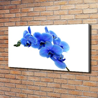 Canvas wall art Blue orchid