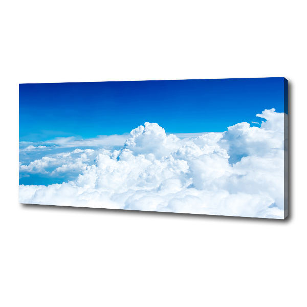 Canvas wall art Bird's flight clouds